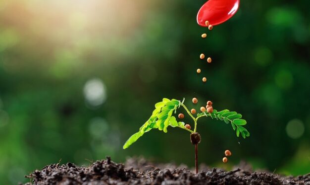 EuroChem conclui aquisição da Fertilizantes Heringer