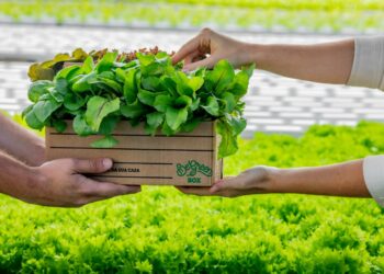 BeGreen: Passeio das Águas Shopping terá a primeira fazenda urbana do Centro-Oeste
