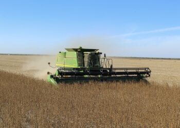 Clima segue favorecendo o centro-norte brasileiro no meio do agronegócio