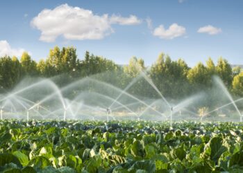 É preciso autonomia energética em propriedades rurais, afirma executivo da Stemac