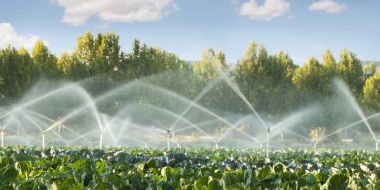 É preciso autonomia energética em propriedades rurais, afirma executivo da Stemac