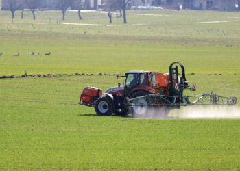 Fertilizantes: Nutrien planeja elevar produção de potássio