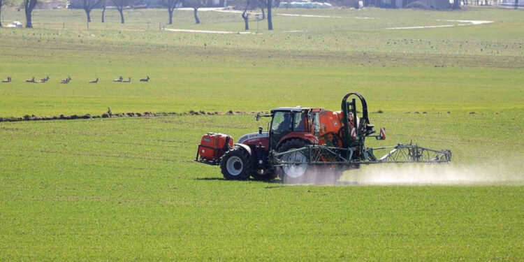 Fertilizantes: Nutrien planeja elevar produção de potássio