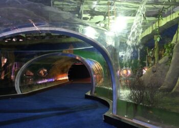 Maior aquário de água doce do mundo, Bioparque Pantanal é inaugurado