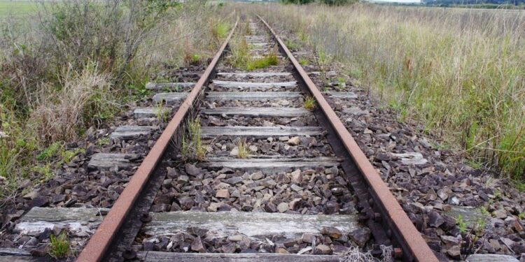 Malha Oeste volta a operar após sete anos desativada