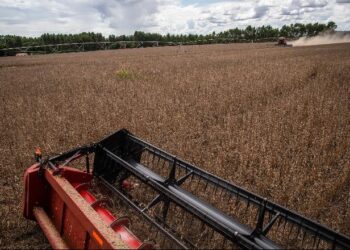 Mato Grosso do Sul faz 1º teste para produção própria de fertilizantes