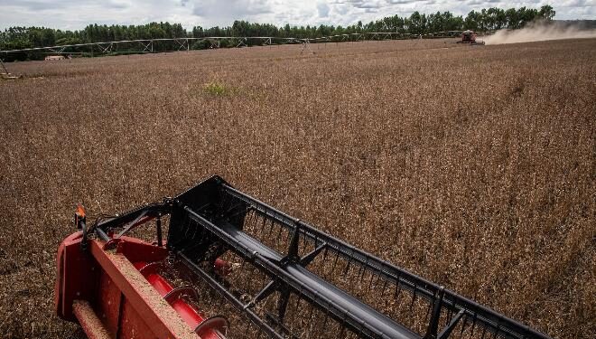 Mato Grosso do Sul faz 1º teste para produção própria de fertilizantes