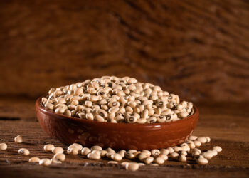 Produção do feijão-de-corda deve crescer mais de 450% no Tocantins