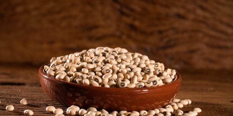 Produção do feijão-de-corda deve crescer mais de 450% no Tocantins