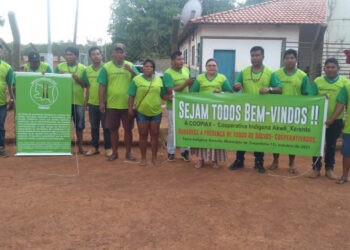 Tocantins registra primeira cooperativa indígena com foco na agricultura e pecuária
