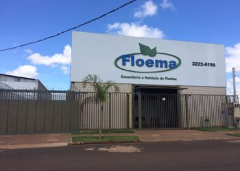 Grupo Lavoro compra mineira Floema e chega a 151 lojas no Brasil