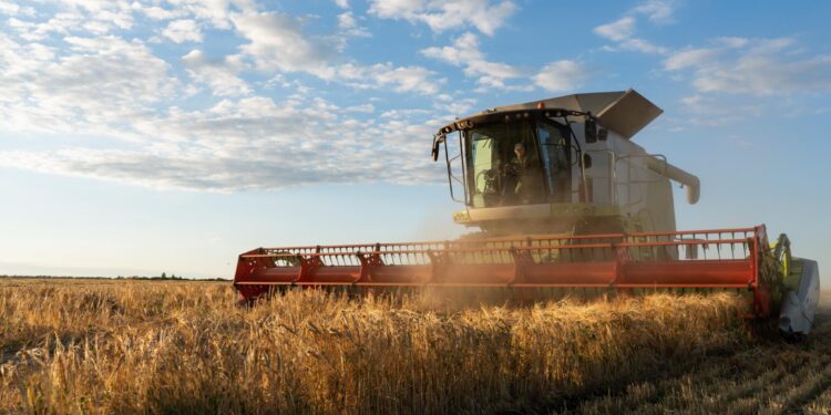 Os impactos da Selic na vida do produtor e do consumidor