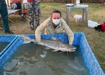 Sicoob UniCentro Br doa mais de R$ 30 mil para prevenção ambiental no Rio Araguaia