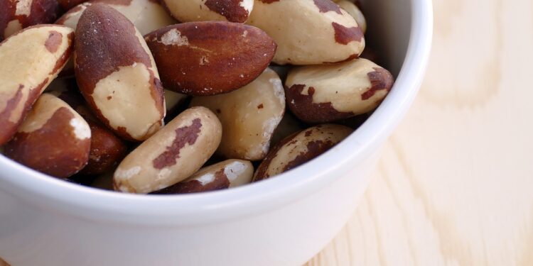 Hambúrguer de pequi, nuggets de castanha-do-brasil, carne de baru?