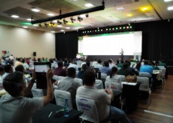 22º Encontro Técnico Soja da Fundação MT baliza a próxima safra de grãos