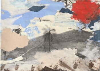 4ª edição da Feira de Arte Goiás anuncia galeristas e expositores