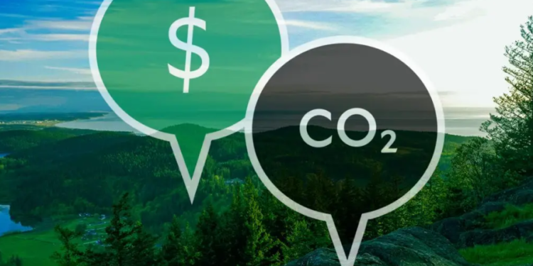 Banco Central estuda criação de regras de mercado de carbono