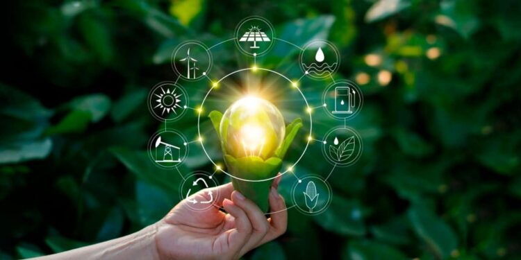 ESG: Empresas investem em práticas ambientais para atrair investimentos