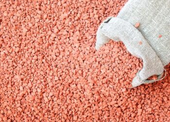 Goiana Rizzo Energia fecha acordo internacional com grupo belga