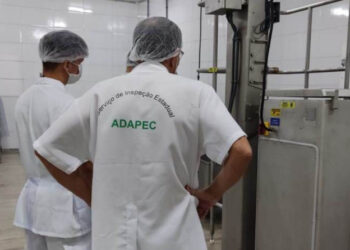 Laticínios de Colmeia e Santa Terezinha (TO) agora podem vender produtos em todo o Brasil