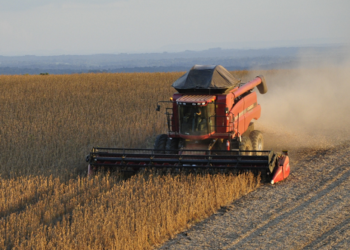 Preço do frete cai em MT e MS com menor movimentação de soja