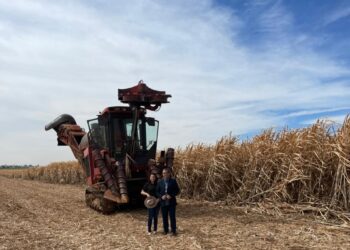 Sicoob UniCentro Br atinge recorde de R$ 504 milhões na carteira de agro