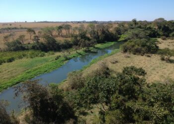 Sistema OCB/GO faz parceria com a Comurg para recolher lixo flutuante no Rio Meia Ponte