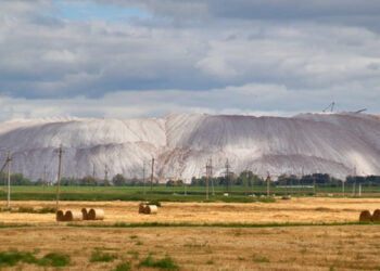 Verde Agritech investirá R$ 275 milhões para construir unidade de potássio