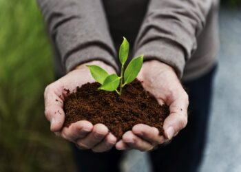 Agro: soluções para pandemia tributária