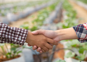 A aplicabilidade da cláusula MAC nos contratos do agro e a solução dos conflitos via arbitragem