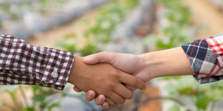 A aplicabilidade da cláusula MAC nos contratos do agro e a solução dos conflitos via arbitragem