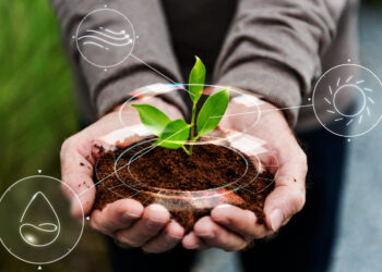 Autonomia energética como peça-chave à manutenção do agronegócio