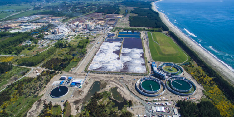 Chilena Arauco confirma investimento de R$ 15 bi em nova planta de celulose em MS