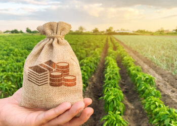 CNA solicita mais R$ 710 milhões para subvenção de apólices da safra de verão