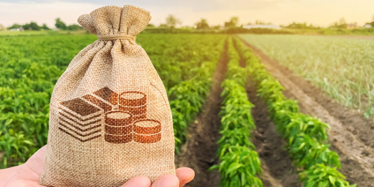 CNA solicita mais R$ 710 milhões para subvenção de apólices da safra de verão