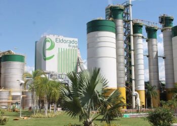 Eldorado gera 96% da energia própria para operação de Três Lagoas (MS)