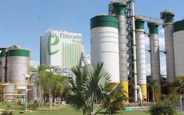 Eldorado gera 96% da energia própria para operação de Três Lagoas (MS)