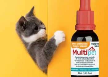 Empresa goiana inova no tratamento de doenças parasitárias de pets