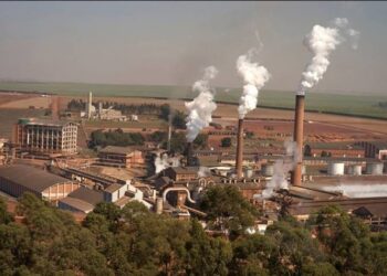 Grupo São Martinho pretende investir R$ 160 milhões em biogás