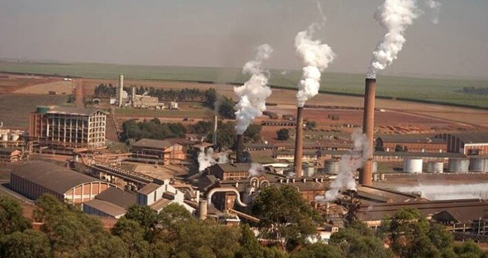 Grupo São Martinho pretende investir R$ 160 milhões em biogás