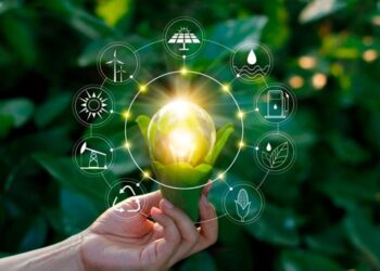 Produtores rurais que preservam o meio ambiente serão recompensados em MS