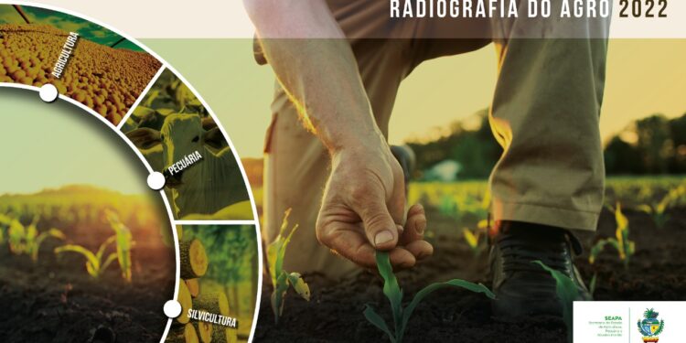 Radiografia do Agro oferece panorama de 47 cadeias produtivas do agronegócio goiano