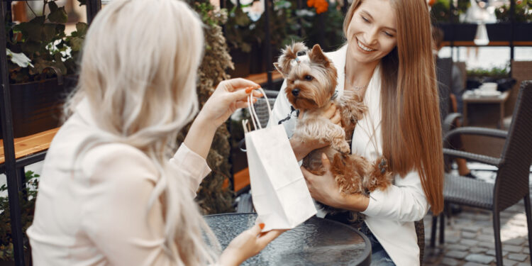 Nove em cada dez shoppings adotam ambientes pet friendly