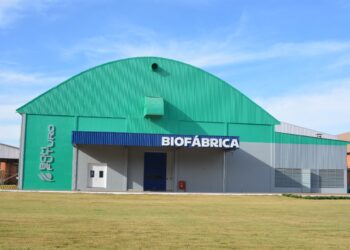 Bioinsumos próprios geram sustentabilidade e regeneração do solo na Bom Futuro