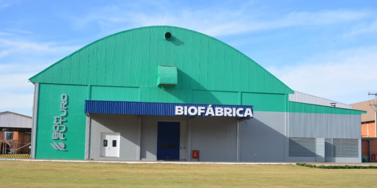 Bioinsumos próprios geram sustentabilidade e regeneração do solo na Bom Futuro