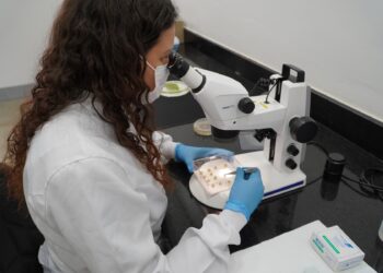 Fundação MT traça nova trajetória no agronegócio