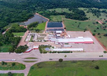 Grupo CDM, dono da Plena Alimentos, investe em expansão