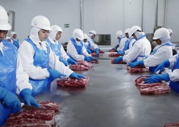 Marfrig oferece 16 vagas de emprego na unidade de Mineiros, em Goiás