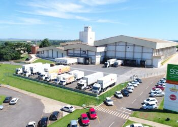 SSA anuncia mais de 800 vagas de emprego em Goiás