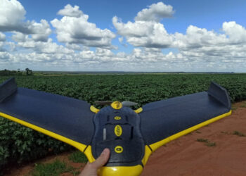 Sebrae Like a Boss prepara startups para o mercado internacional